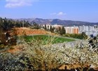 学院风景