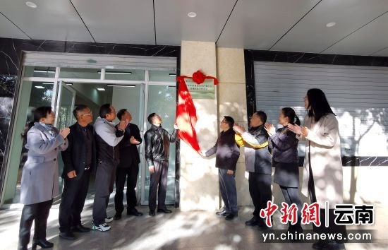 【中新网】南亚东南亚安全生产和应急管理国际合作中心在昆明揭牌成立