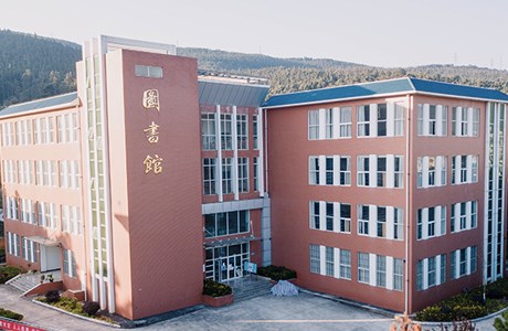 发展历程